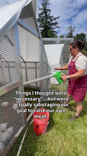Here’s what I used to think you had to have to raise meat chickens: • A full homestead – Turns out, a backyard works just fine with a chicken tractor. • Tons of time – We’re talking 10–20 minutes a day, not a full-time job. • Fancy setup – Spoiler alert: You can start small and grow as you go. I used to wait for the “perfect setup”… and that just kept me stuck. Buuuutttttt now that we know better, we can do better! Comment CHICKENS101 and I’ll send over my Farm to Freezer course that will walk y
