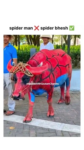 spider bhes ✅✅ #memes