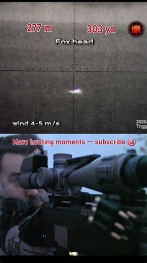 🦊 277 m (303 yd) 🌙 | Night Fox Hunt — Headshot | Thermal Scope | 6.5 Cal
