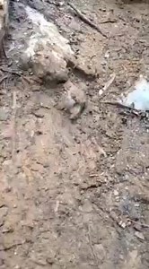 48K views · 1.3K reactions | #UA2015 | 4-Wheel & Off-Road Magazine | Facebook