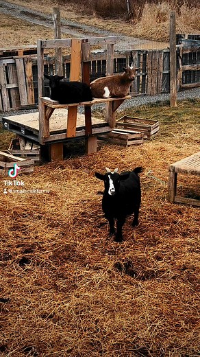 #focus | Small Scale Farms