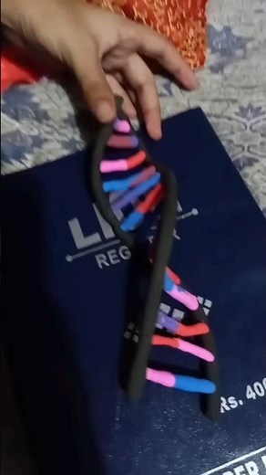 DNA model with clay# #art #youtubeshorts #youtube
