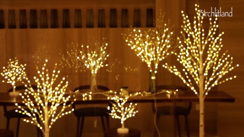 Birchlitland LED Birch Tree 4FT 200L Warm White Fairy Lights, Lighted Trees for Indoor Outdoor Home Thanksgiving Christmas Holiday Decoration