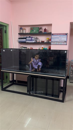 The zoo 🐾 on Instagram: "6*2 அடி aquarium tank with sump setup💥 in Erode 📍 . . ☎️ Direct Call 📞 only 9788133303 / 9843914839 We deliver all types of pets with premium quality💯 to your doorstep‼️ We are located in Tamilnadu (Erode district) 3 outlets 📍 The Zoo Pets - Perundurai The Zoo Pets - Erode The Zoo Pets - Chathram Dm us for more pets related contents and information ✅ Youtube: https://youtube.com/@thezoopets?si=pHd2U7q09uYkC2SE E com Website: www.thezoopets.com #pets #arowna #tankse