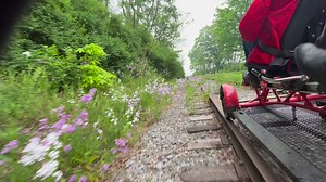 It's SPRING!! Come and enjoy the wildflowers along the track at our Cooperstown Division. Visit railexplorers.net to book, or call 877.833.8588 | Rail Explorers USA