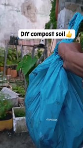 easy Compost soil from kitchen food waste #Composting. #soil #organicfertilizer #trendingpost #Canaan #gardeningtips #viralreelsシ #trendingreel | Canaan All in One Fertilizer Original Direct Supplier