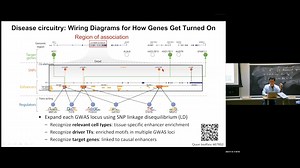 MIT 6.S087 Foundation Models & Generative AI|| BIOLOGY