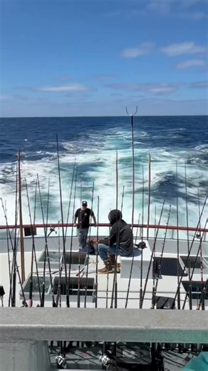 Phil Friedman LIVE from Independence: Hunting Yellowfin Tuna off Baja!