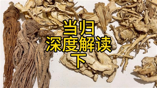 当归 深度解读 教你一些你能用到的知识（下）