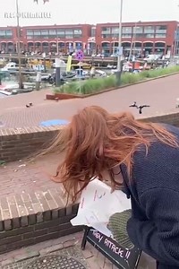 Las gaviotas son conocidas en algunas zonas del planeta por su interés y habilidad para apoderarse de comida o restos de comida de los humanos, provocando en ocasiones situaciones que pueden considerarse de cierto riesgo. Ahora, una curiosa investigación llevada a cabo por científicos en el Reino Unido parece haber dado con una estrategia para mantener a raya a las gaviotas antes de que se conviertan en una amenaza para nuestra seguridad y la de nuestros alimentos: fijar la vista y mantener la m