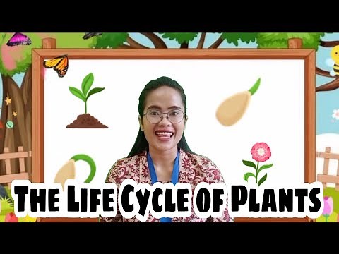 The Life Cycle of Plants || Science for Grade 5 || Science Smart