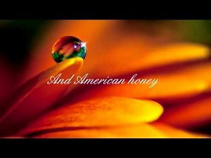 American Honey- Lady Antebellum (With Lyrics)