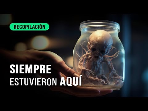Alien Evidences Segunda Temporada | 100 Evidencias que te harán CREER en EXTRATERRESTRES (1/2)