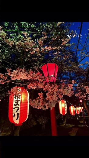 本日撮影🌸1分間動画🌸和歌山城の桜まつり#枝垂れ桜#ソメイヨシノ#お花見#屋台#お祭り#日本の桜#日本の景色#徳川家#徳川吉宗#和歌山#和歌山観光#和歌山城🏯#桜まつり#感動#旅行#クリスハート