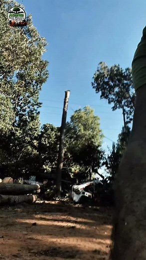 Proud to have a team that gives 100% every day. Your hard work and dedication make all the difference! Need expert tree services? Call/Text Atlanta Tree Movers LLC today at 770-896-3330 #AtlantaTreeMovers #fyp #reelsviralシ | Christian Luke