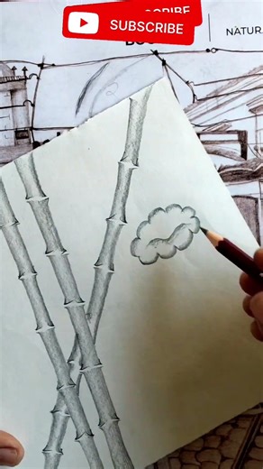 🌿 Bamboo & Flower Drawing | Easy Pencil Sketch #Shorts #Drawing