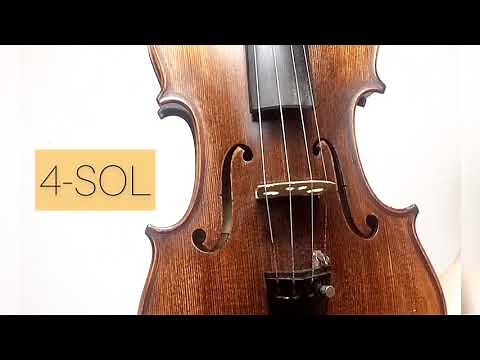 CORDAS DO VIOLINO: Para iniciantes #violinoemcasa #aulasdeviolino #violino