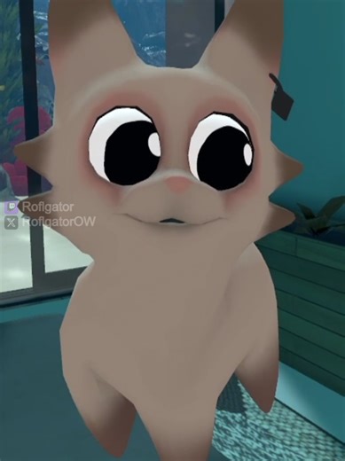 Relaxing VRChat Memes for a Good Laugh