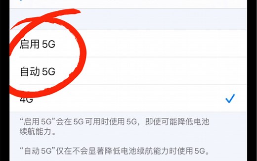苹果手机切换4G和5G网络的方法
