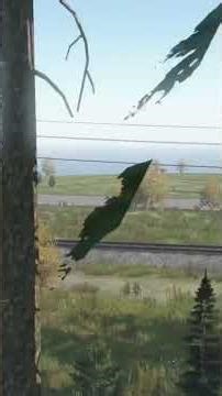 #dayz #dayzgamers #dayzgameplay