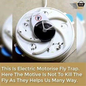 Inside an electric fly trap | Electronic Housefly Trap | Automatic Electronic Fly Trap