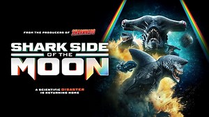 Shark Side of the Moon