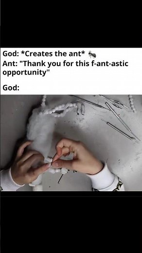 God creates ants and immediately regrets it #memes