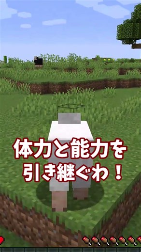 マイクラ倒したモブになれるmod 【Morph】 ＃MOD #マイクラ ＃ゲーム