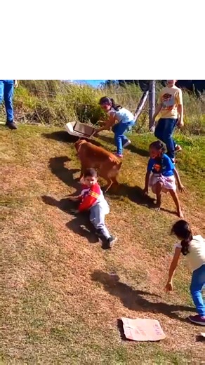 23K views · 383 reactions | When you're having fun, species don't matter. | The Kiwi | Facebook