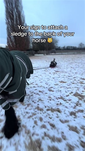 Creative Ways to Attach a Sledge to Your Horse