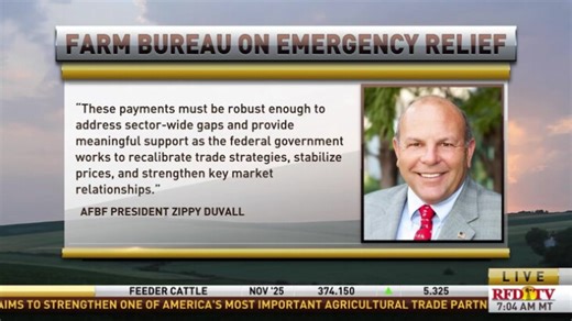 “Farmers are at a breaking point”: Farm Bureau sends a message to Congress on emergency relief