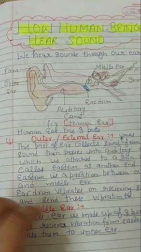Class 8 Sound | Class 8 Science Sound Chapter 10 NOTES #class8science #ncertclass8science #ytshorts