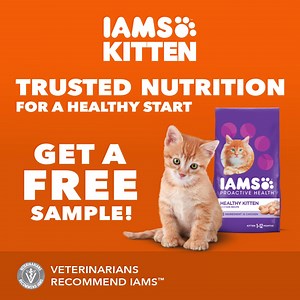 2.1K reactions · 149 shares | Help keep your kitten happy and healthy for life. Try a free sample of IAMS™ kitten food. Terms & conditions apply. | IAMS | Facebook