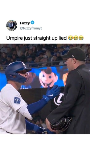 umpire caught lying..