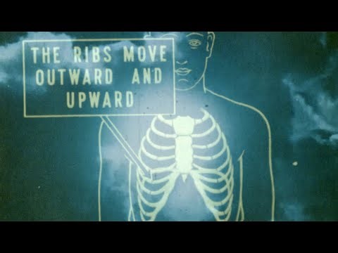 Califone: every amnesia movie (Official Video)