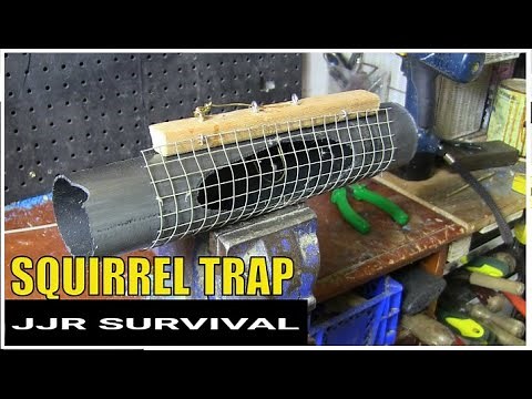 SQUIRREL TRAP