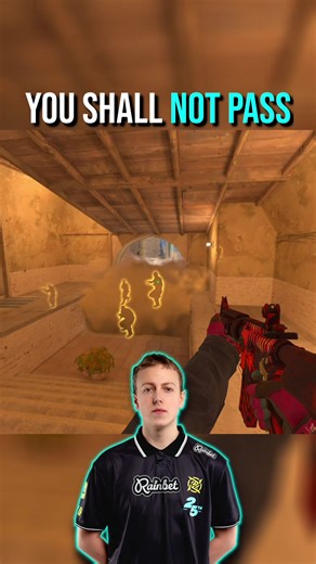 Is the M4A4 the New Meta in CS2?