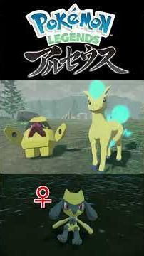 Caught a Shiny Female Riolu in Legends: Arceus!【Pokémon LEGENDS Arceus】 #shorts