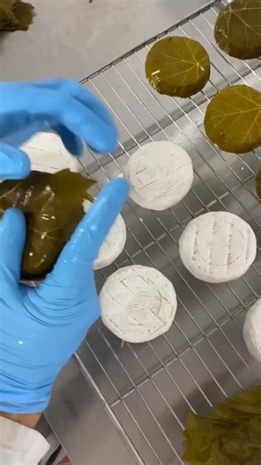 Cheese-Making Process in a Factory Setting