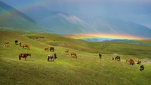 Which Metering Mode Should You Choose? | FUJIFILM X Series & GFX - UK