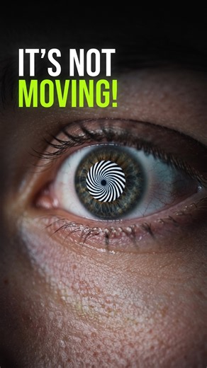 Your Brain Can Make You See Movement That Isn't Th