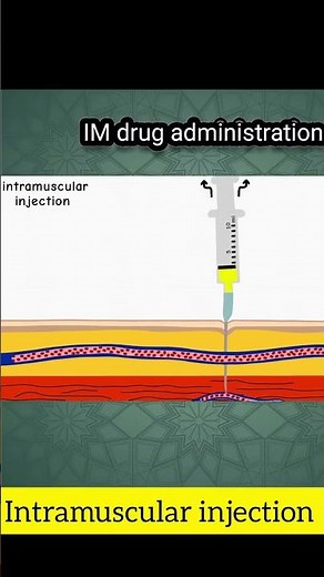 Intramuscular injection ll How to give Intramuscular injection ll IM route ll VET Knowledge