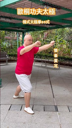 楊式太極拳85式之雙峯貫耳