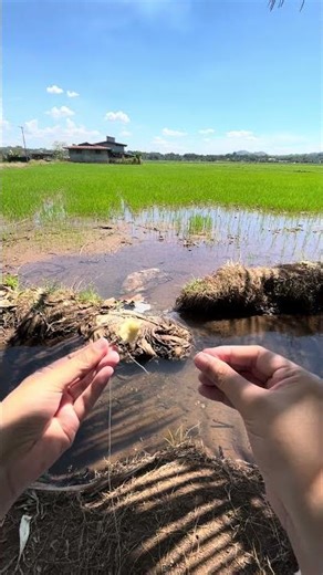 me on black friday ☁️