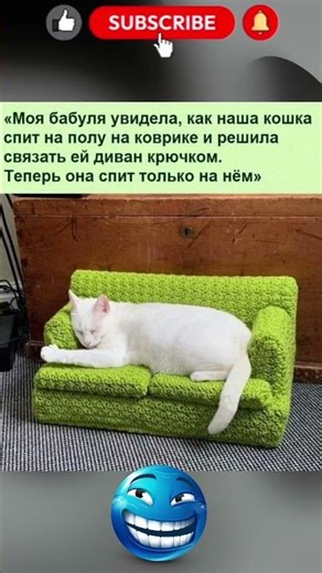 Бабушкина забота уровня «премиум» 🧶🐱