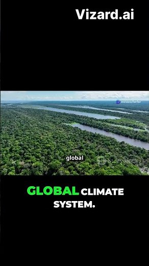 The Amazon Rainforest: Earth’s Biggest Jungle Kingdom