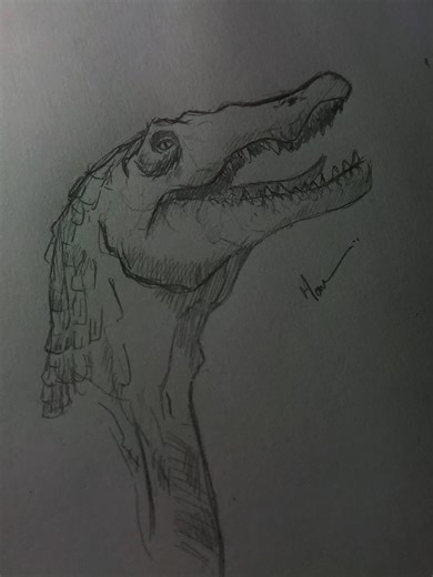 How to draw spinosaurus (easy) #spinosaurus #jurrasicpark #artistoftiktok #fyp #draw draw spinosaurus drawing tutorial follow for more!!