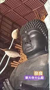 【東大寺大仏殿】秋の奈良に行ってきた！#東大寺 #奈良 #大仏 #奈良公園 #日本の風景 #日本の秋 #楽しい
