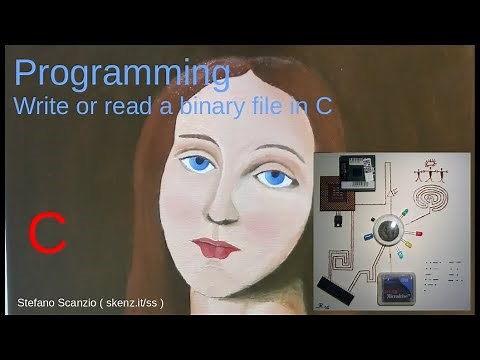 #5 C Programming Language - Write and read a binary file (fwrite and fread)