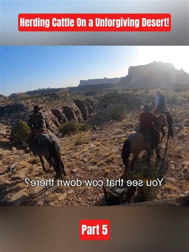 Herding Cattle On an Unforgiving Desert! | Part 5 #CattleRanch #RanchLife #CowboyLife #DesertLife #FarmLife